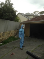 Asbestos Removal and Disposal Perth